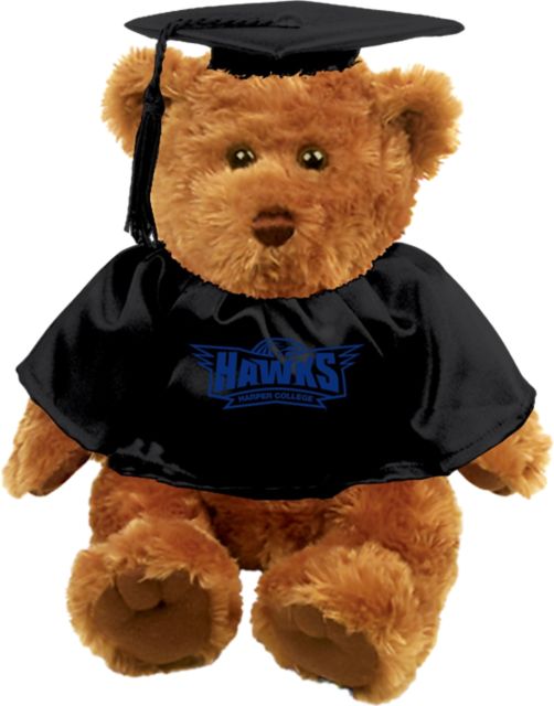 Harper College Graduation Bear