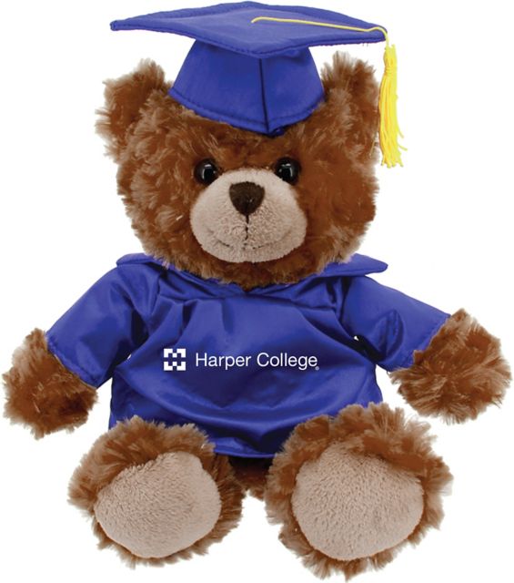 Harper College 10'' Graduation Bear